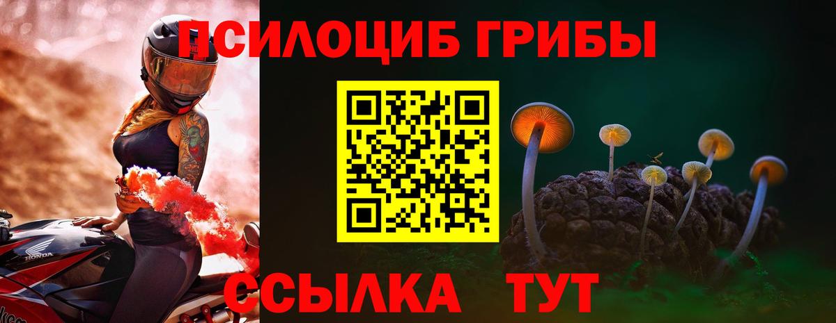 Псилоцибиновые грибы мицелий Кызыл